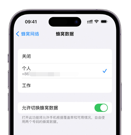 瀍河回族苹果维修服务分享如何在iPhone上使用双卡 